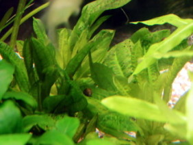 060621_007.jpg