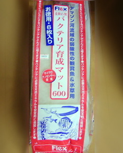 060626_000.JPG
