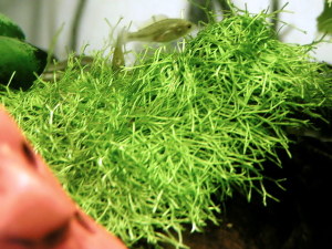 060627_005.jpg