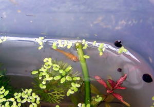 060705_004.jpg