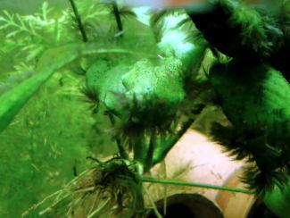 060827_002.jpg