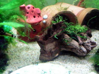 060827_005.jpg