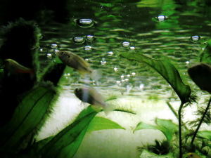 060829_008.jpg