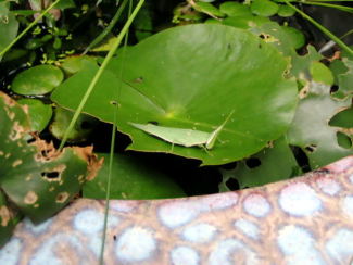 060903_000.jpg