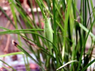 060903_001.jpg