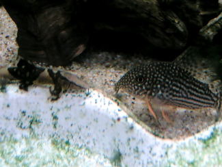 060910_001.jpg