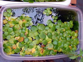 061021_000.jpg