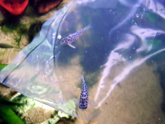 061107_000.jpg