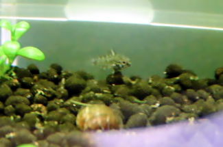 061109_002.JPG
