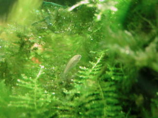 061120_001.jpg