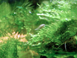 061120_002.jpg