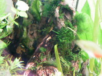 061230_001.jpg