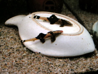 061230_009.jpg