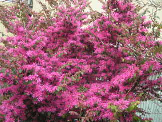 0700402_003.jpg