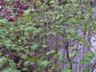 0700402_007.jpg