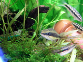 070113_002.jpg