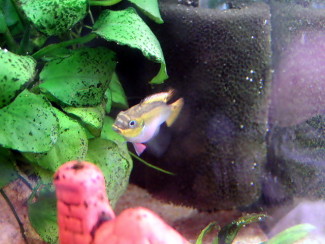 070120_003.jpg