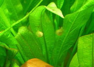 070122_000.JPG
