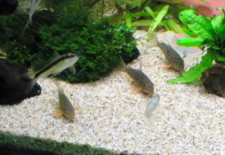 070130_003.jpg