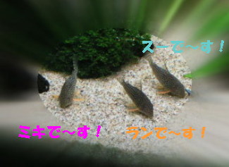 070130_004.jpg