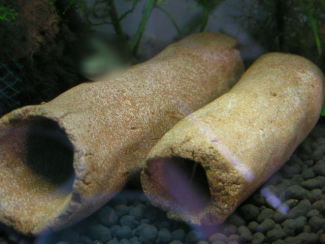 070304_004.jpg