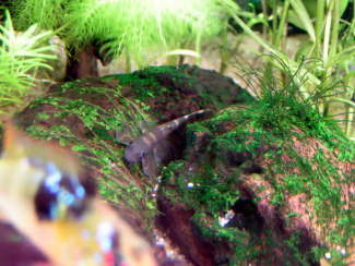 070311_004.jpg