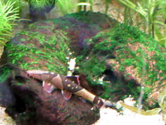 070311_006.jpg