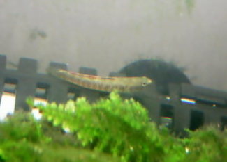 070813_001.JPG
