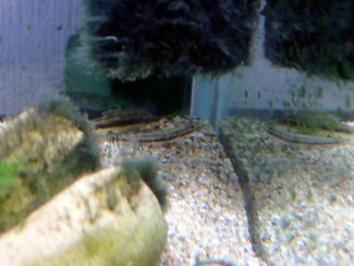 070813_008.jpg