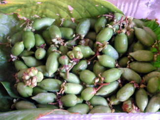 070829_000.jpg