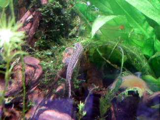 070906_003.jpg
