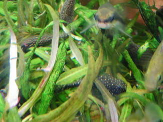 070906_005.jpg