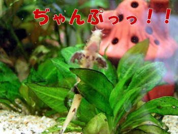 070909_001.jpg