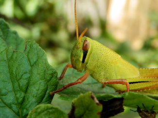 070909_004.jpg