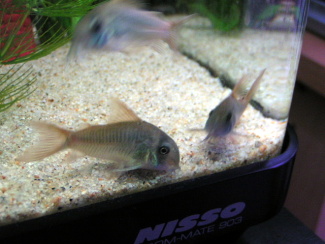 071002_003.jpg
