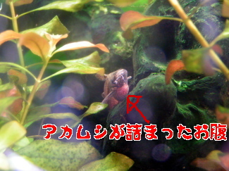 071209_006.JPG