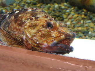 080114_001.jpg