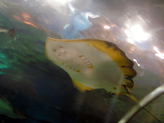 080114_003.jpg