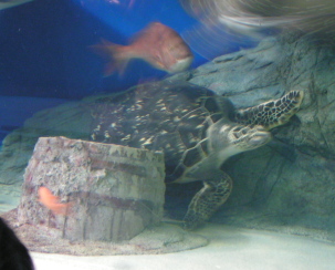 080114_004.jpg
