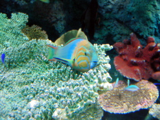 080114_007.jpg