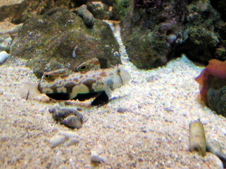 080114_012.jpg