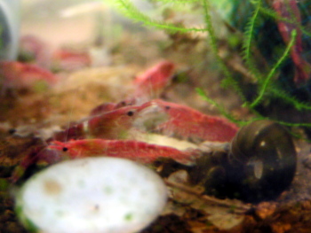 080211_002.jpg