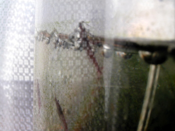 080211_004.jpg