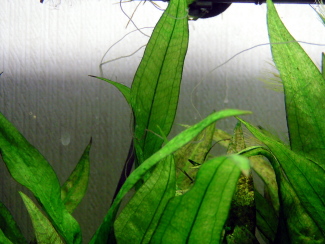 080406_000.jpg