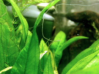 080406_001.jpg