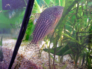 080406_004.jpg