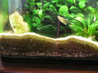 080413_001.jpg