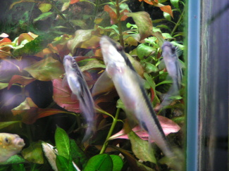 080420_000.JPG