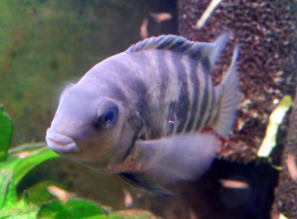 080427_005.jpg