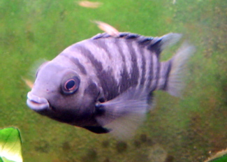 080427_006.jpg